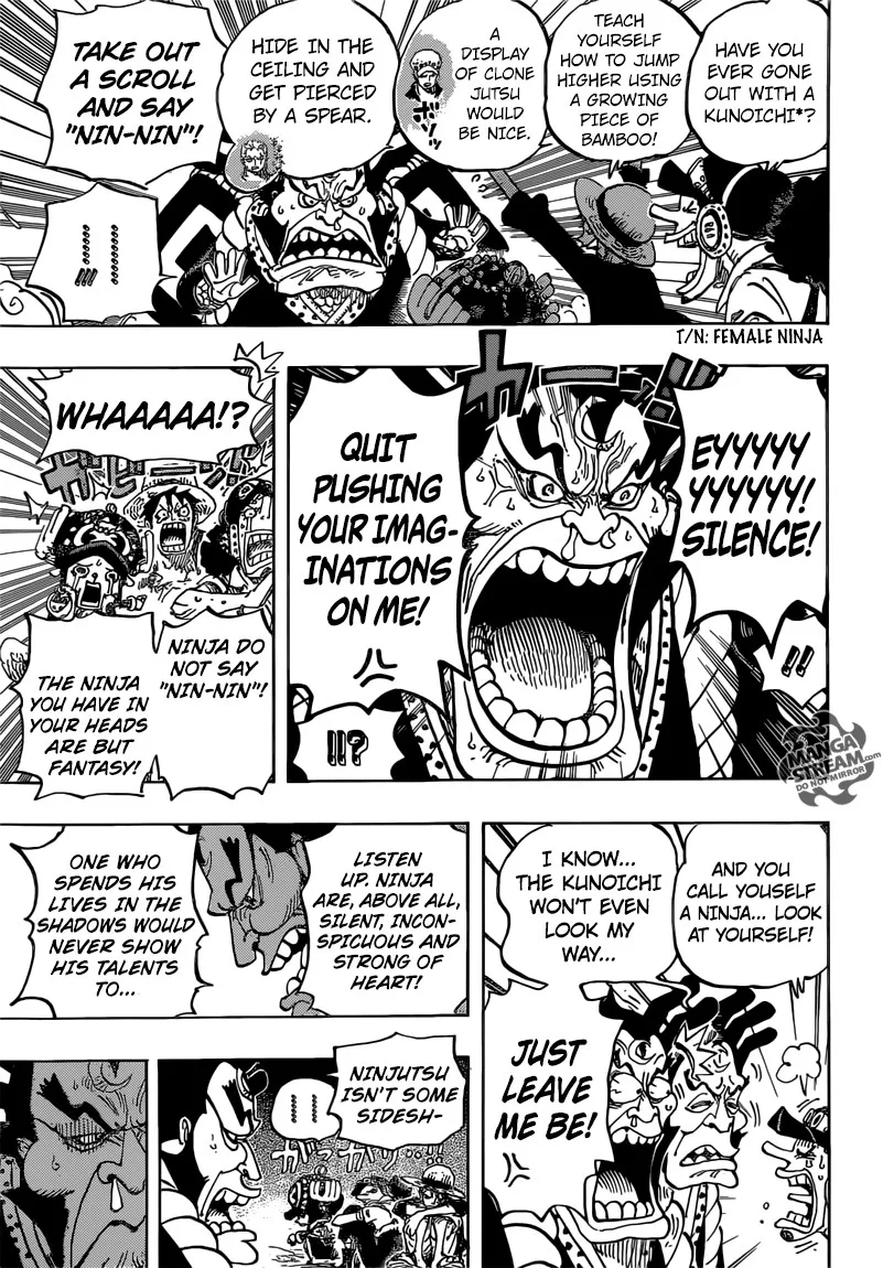 One Piece Chapter 817 - Page 18