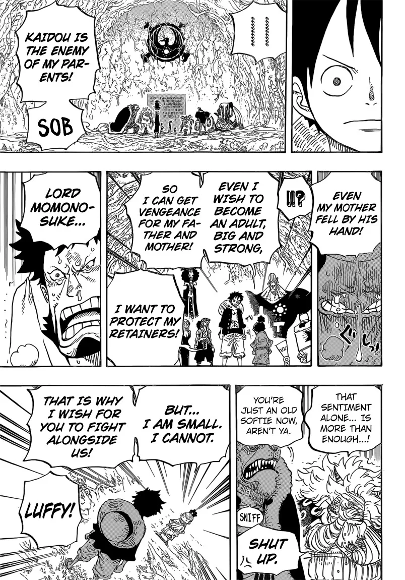 One Piece Chapter 819 - Page 14