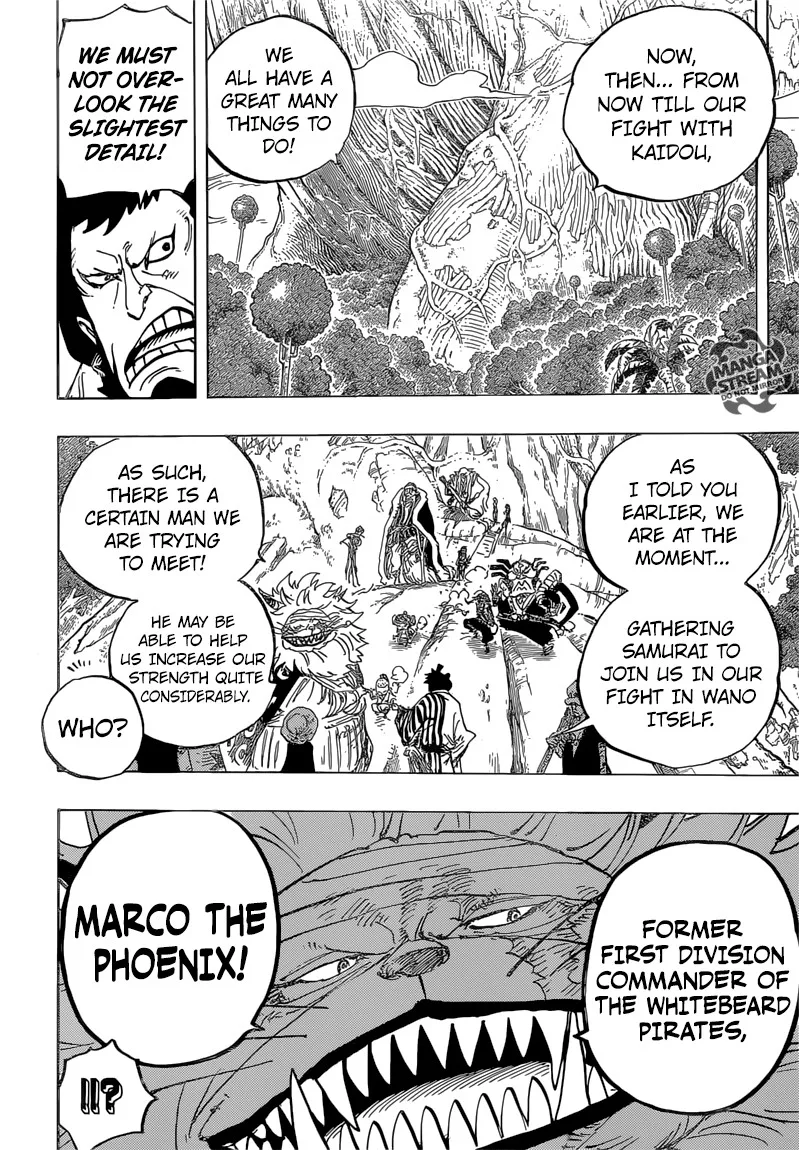 One Piece Chapter 820 - Page 13