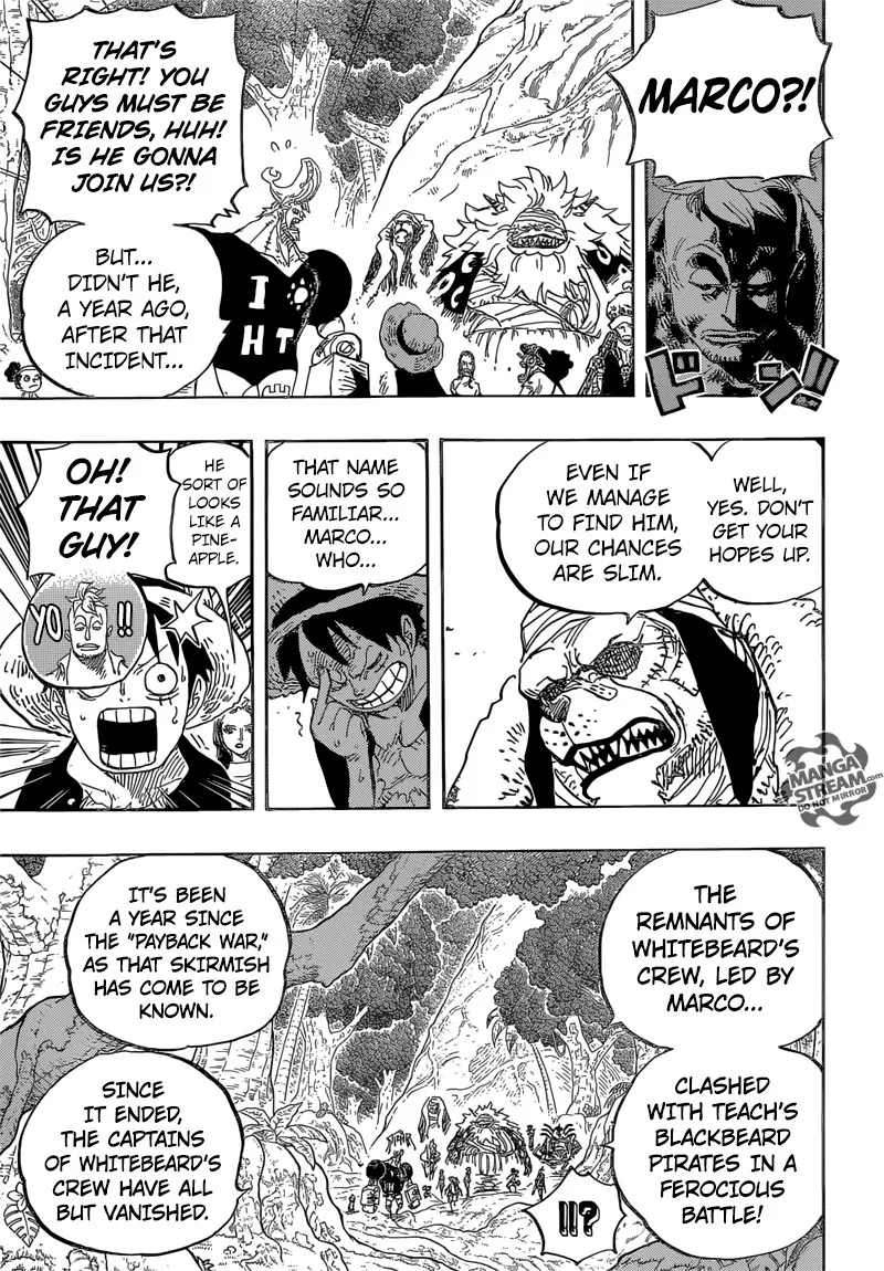 One Piece Chapter 820 - Page 14