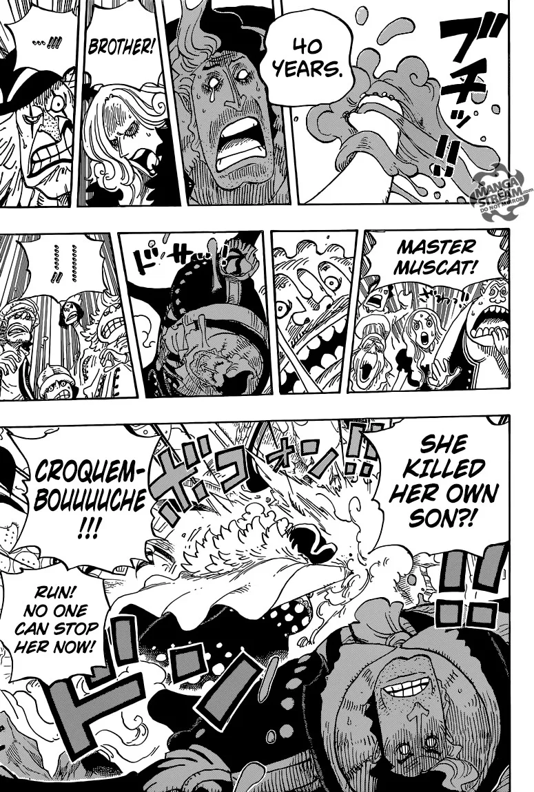 One Piece Chapter 829 - Page 14
