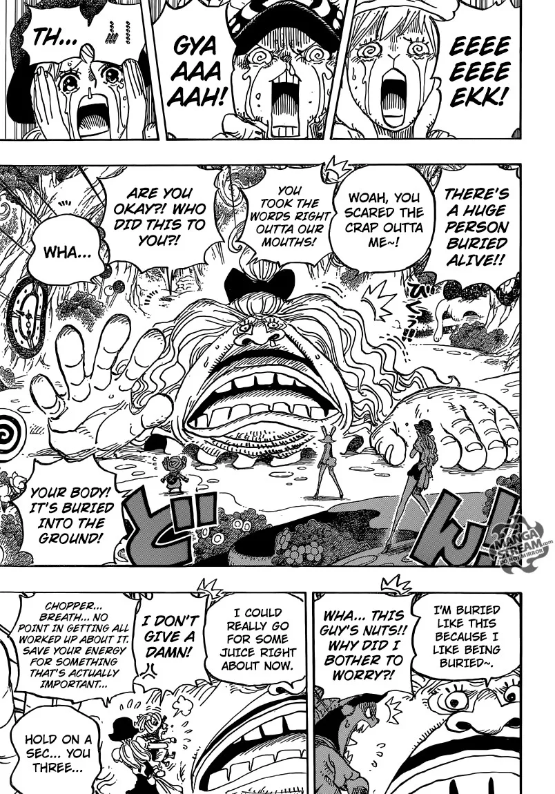 One Piece Chapter 831 - Page 18