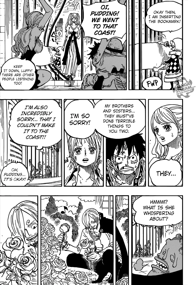 One Piece Chapter 848 - Page 17