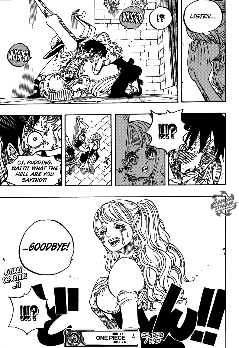 One Piece Chapter 848 - Page 19