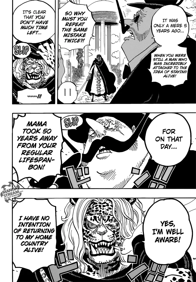 One Piece Chapter 849 - Page 19