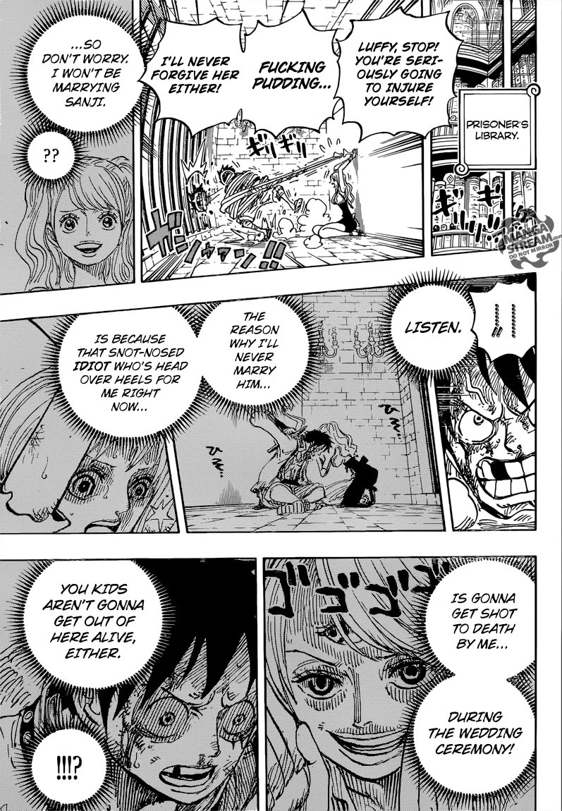 One Piece Chapter 850 - Page 17