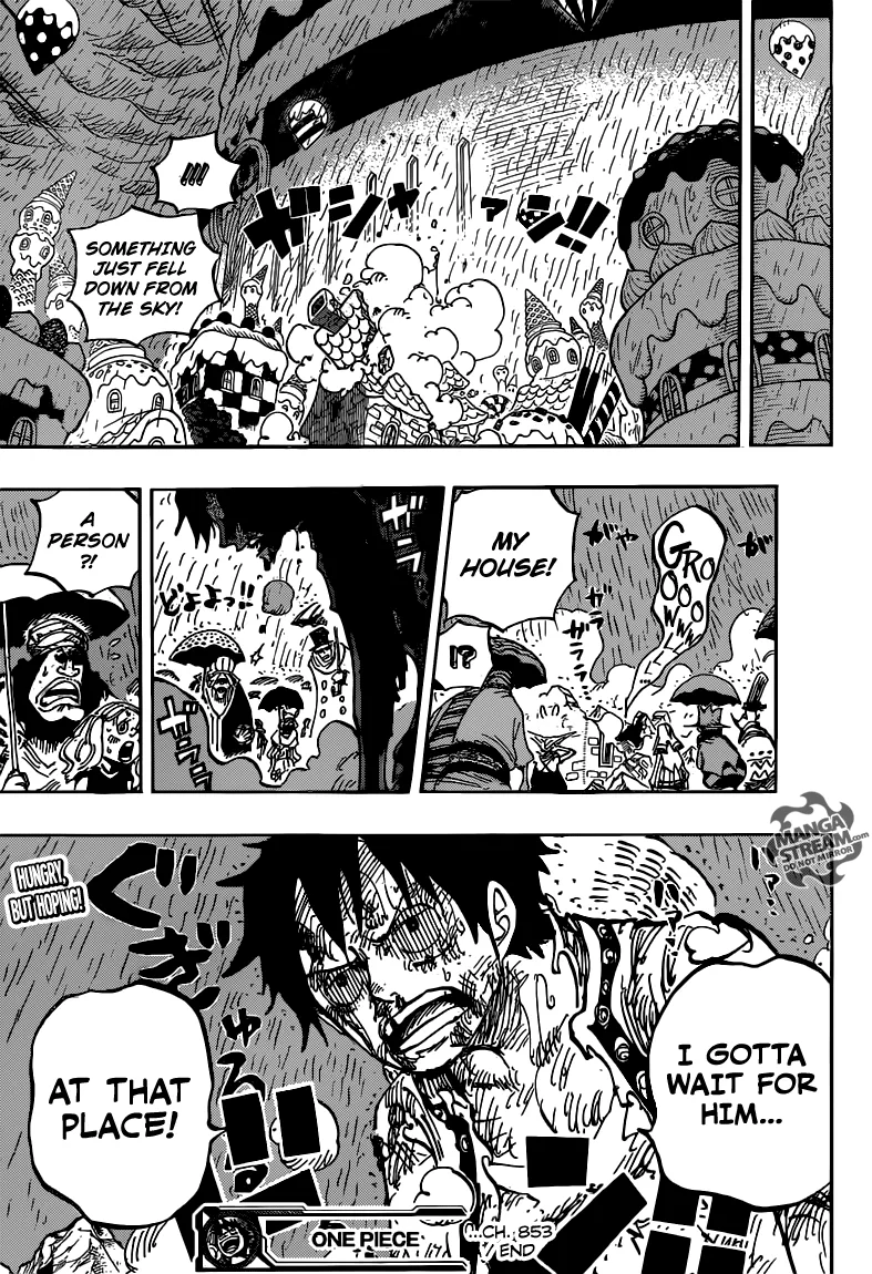 One Piece Chapter 853 - Page 16
