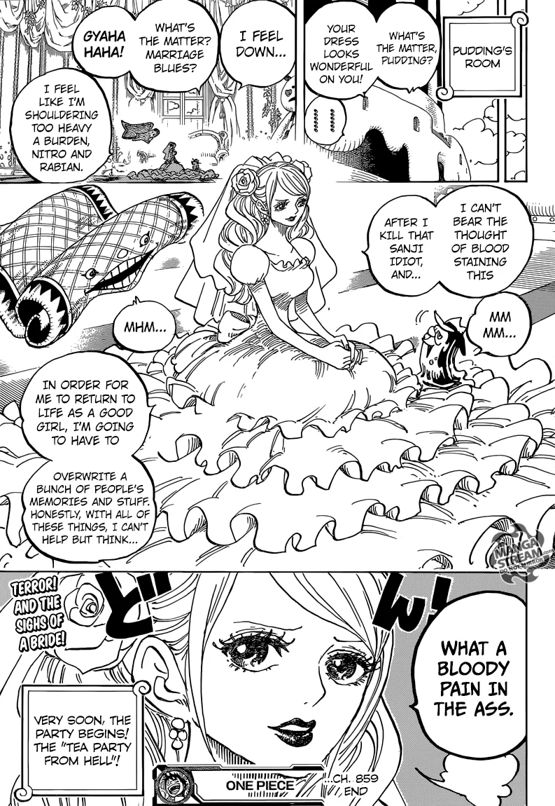 One Piece Chapter 859 - Page 17