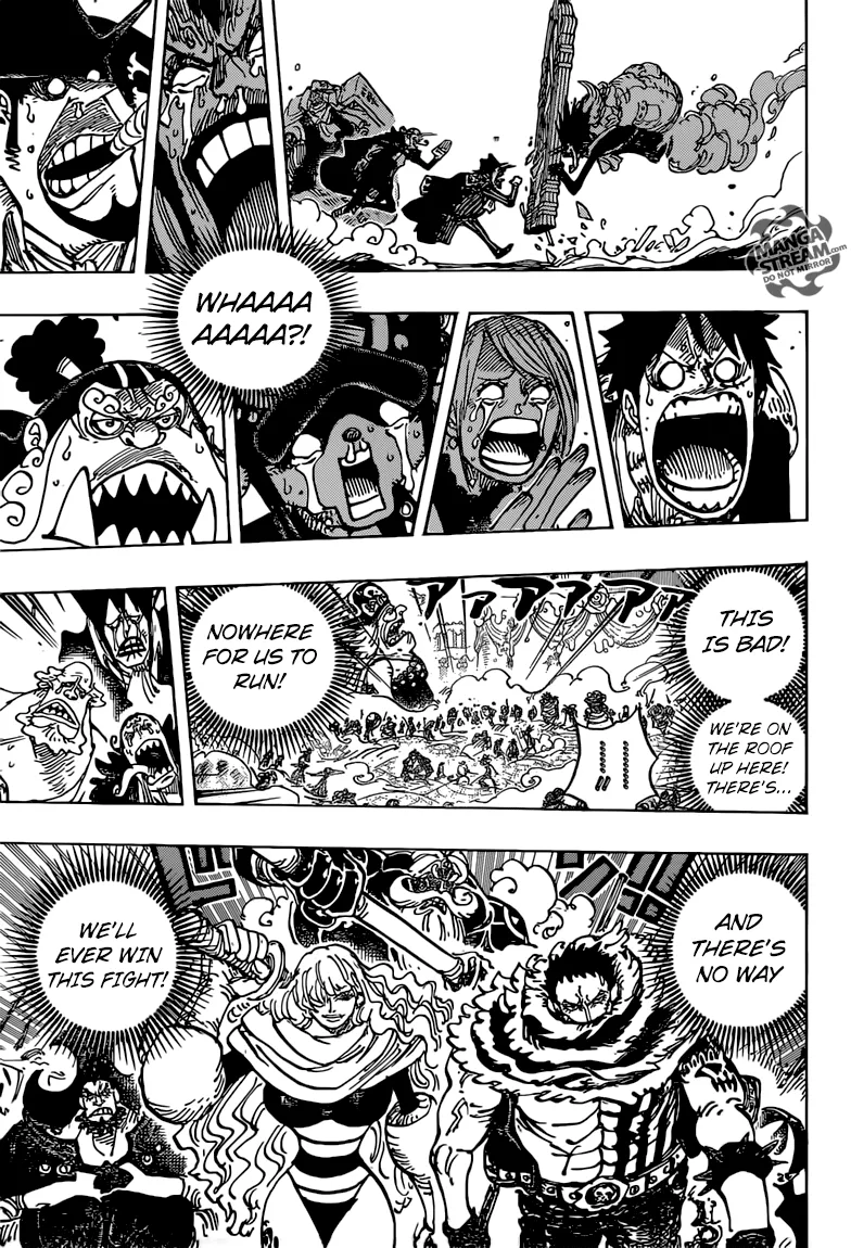 One Piece Chapter 868 - Page 14