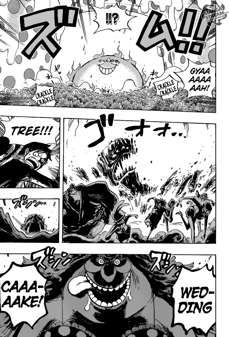 One Piece Chapter 874 - Page 16