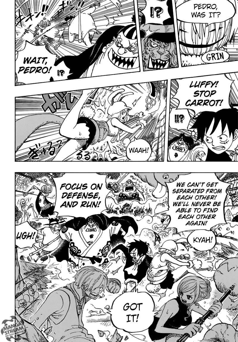 One Piece Chapter 875 - Page 13