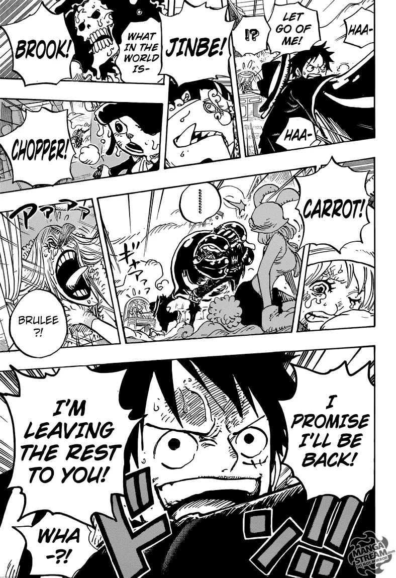One Piece Chapter 878 - Page 17