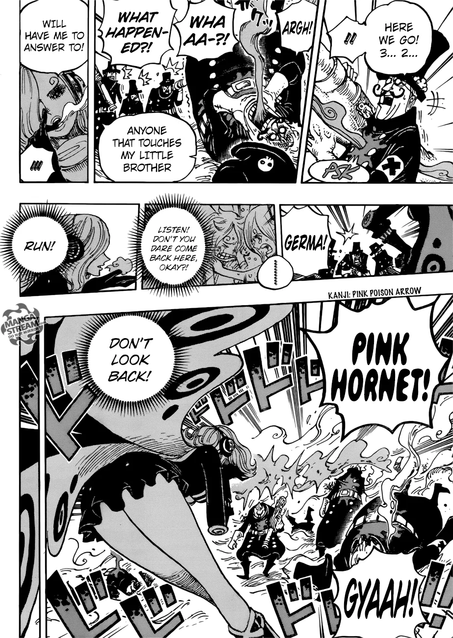 One Piece Chapter 898 - Page 14