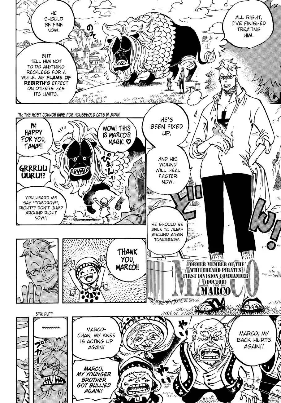 One Piece Chapter 909 - Page 5