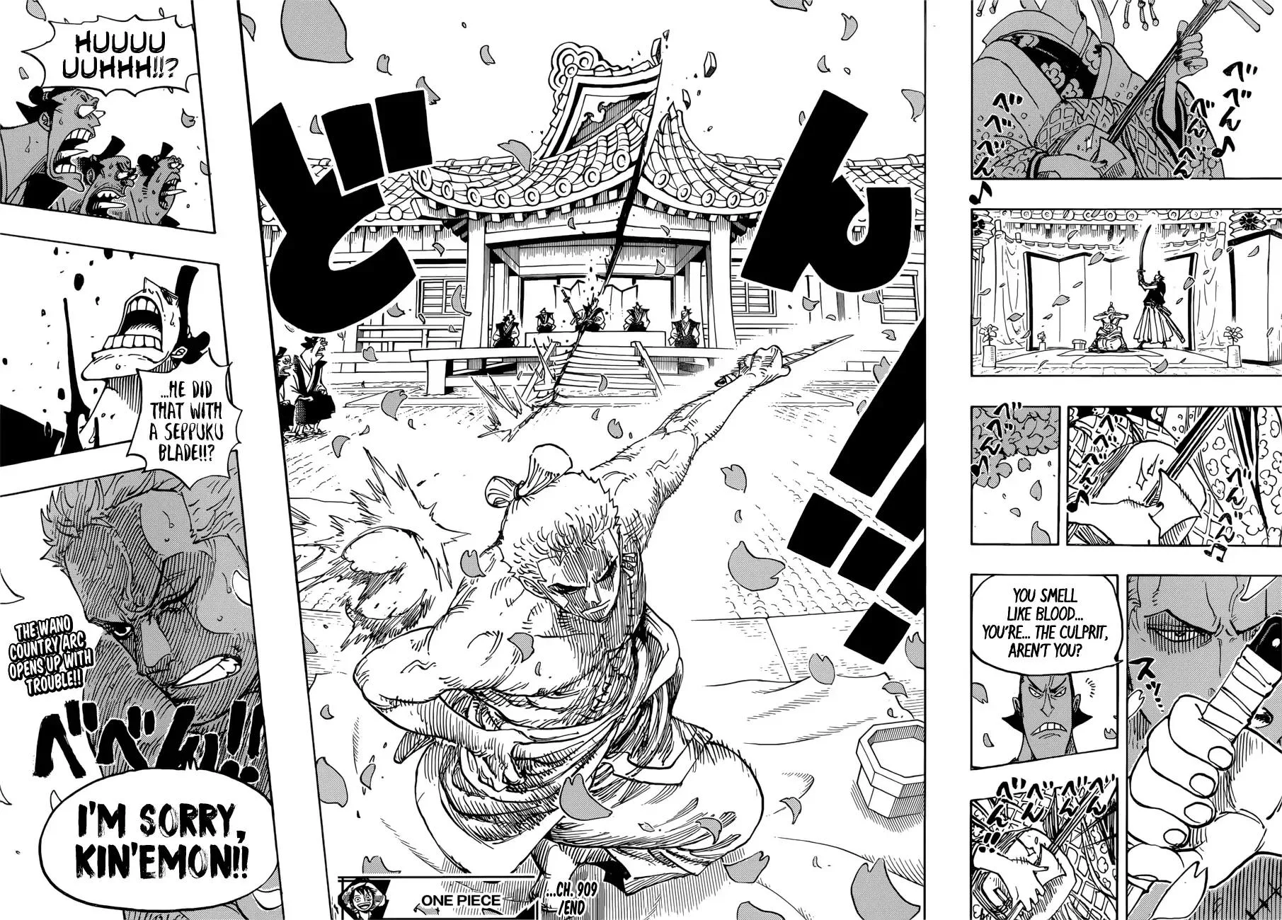 One Piece Chapter 909 - Page 16