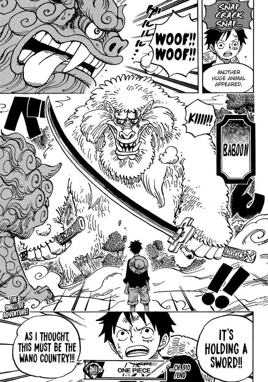 One Piece Chapter 910 - Page 13