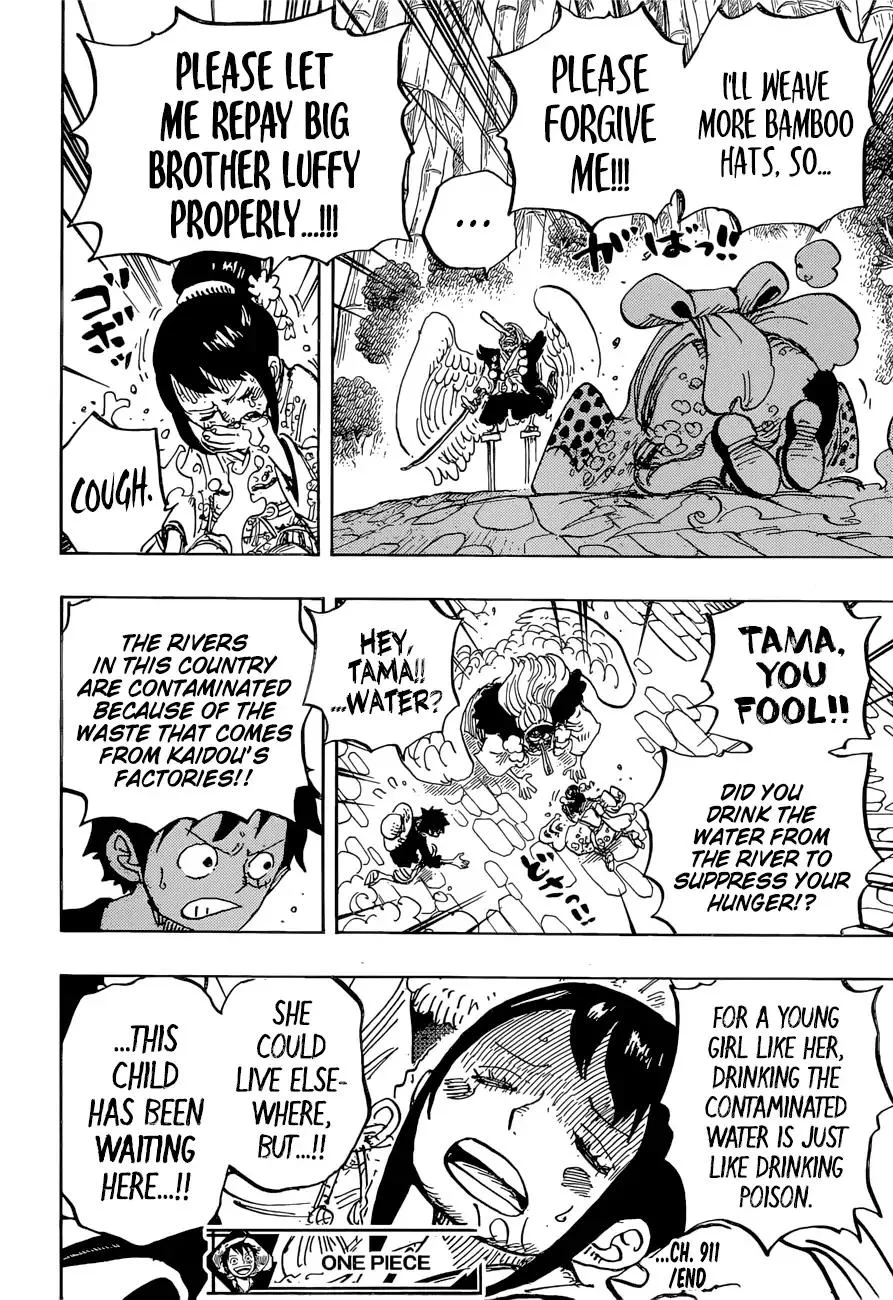One Piece Chapter 911 - Page 17