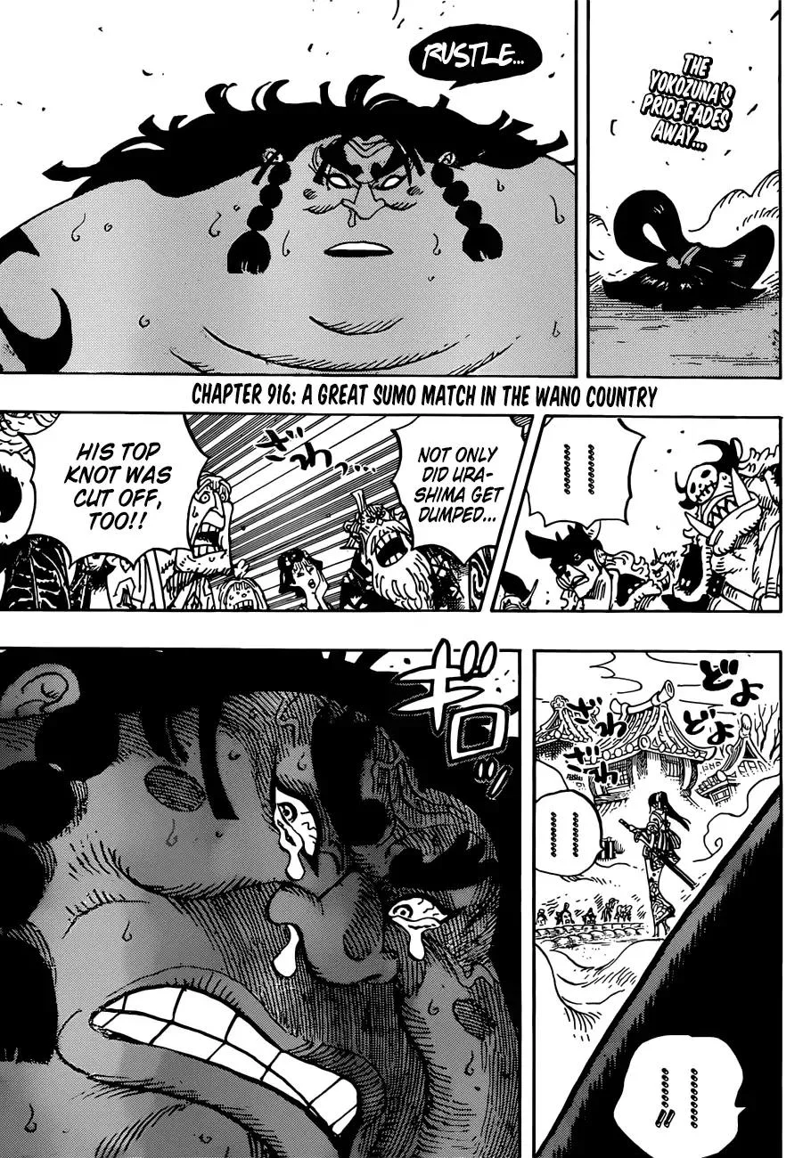 One Piece Chapter 916 - Page 4