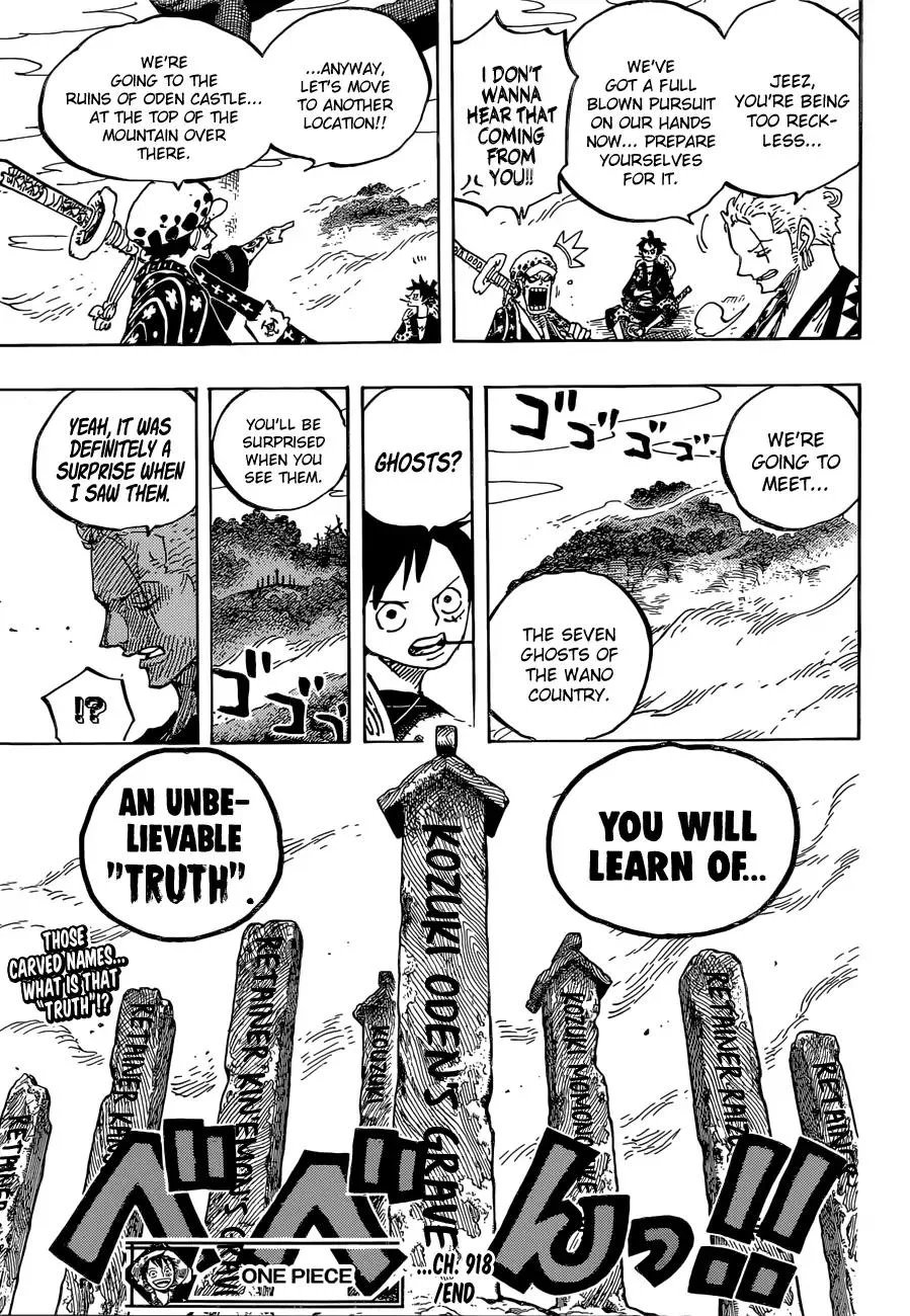 One Piece Chapter 918 - Page 17