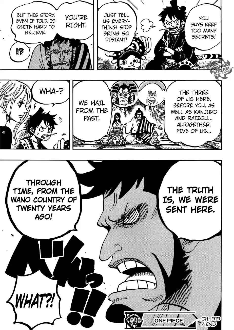 One Piece Chapter 919 - Page 16