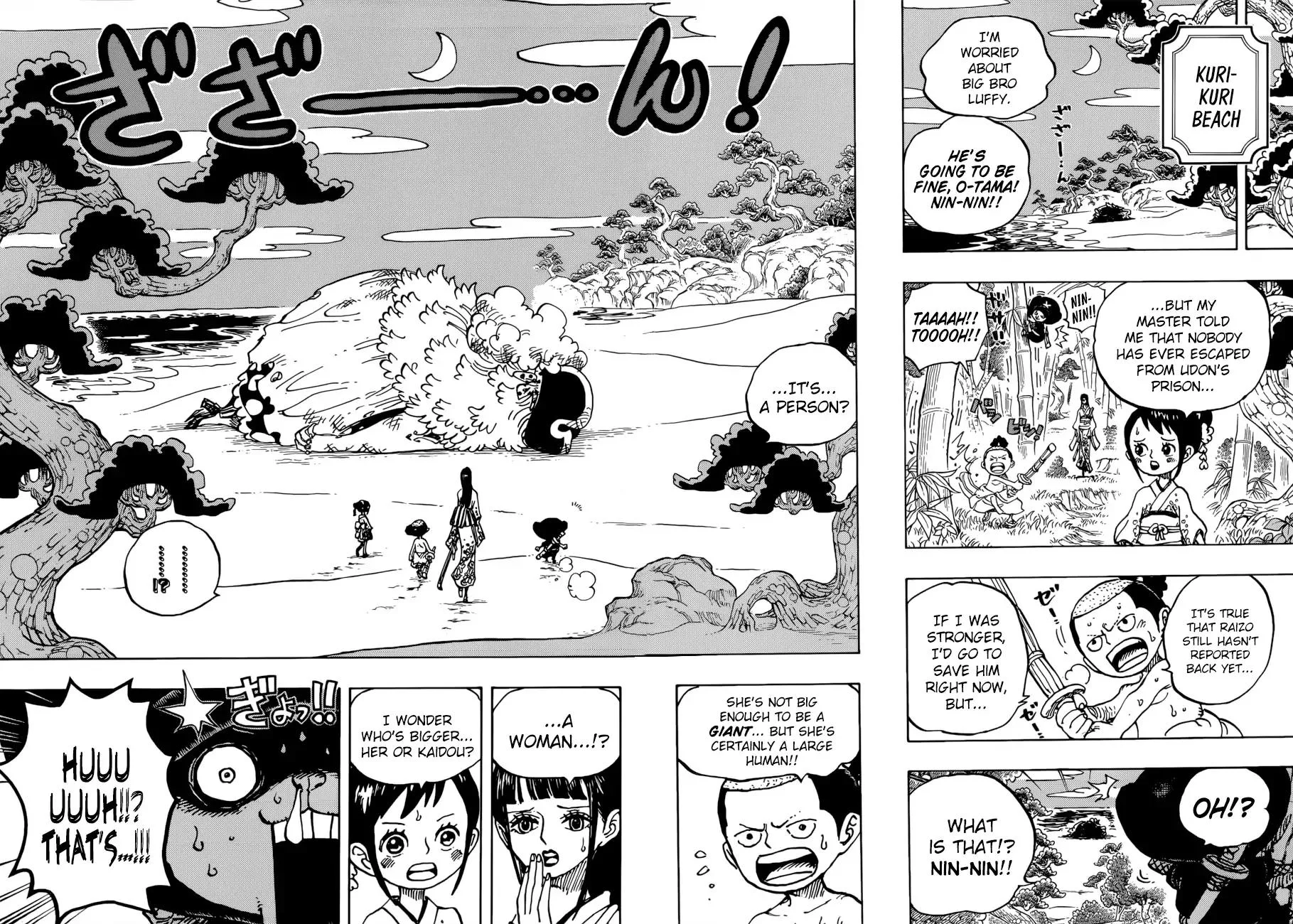 One Piece Chapter 931 - Page 14