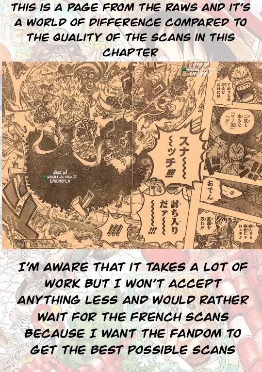 One Piece Chapter 987 - Page 18