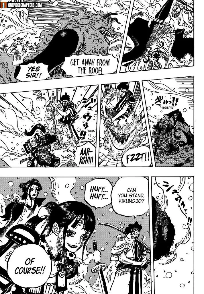 One Piece Chapter 994 - Page 4