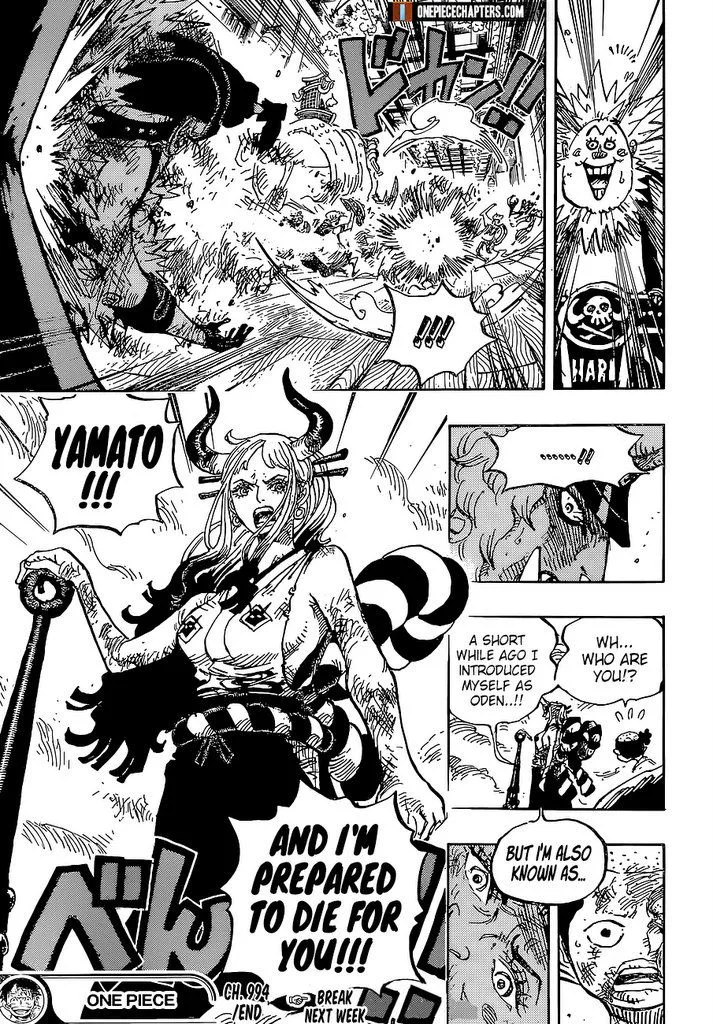 One Piece Chapter 994 - Page 17