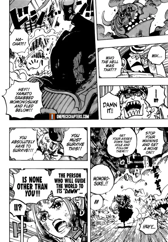 One Piece Chapter 996 - Page 11