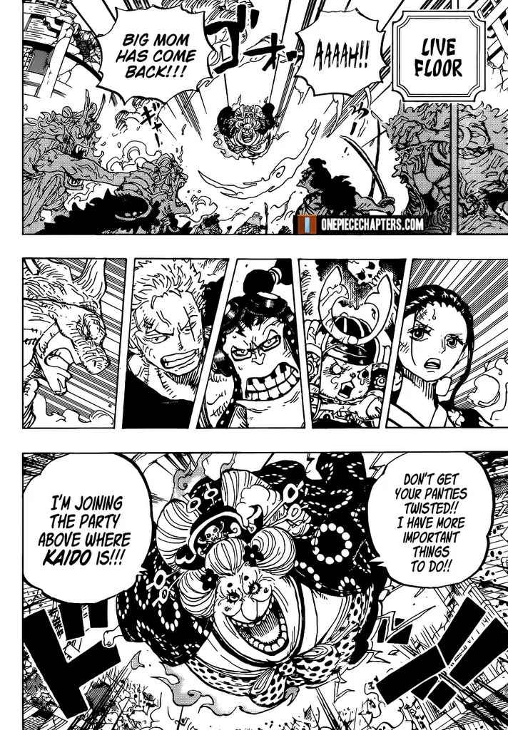 One Piece Chapter 996 - Page 17