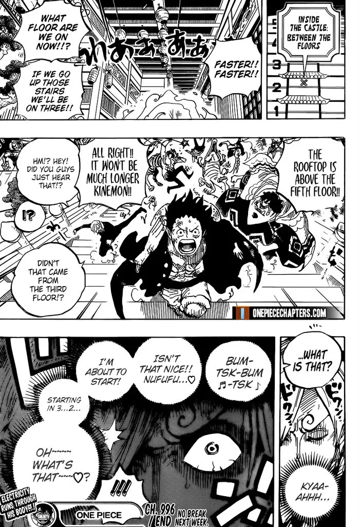 One Piece Chapter 996 - Page 18