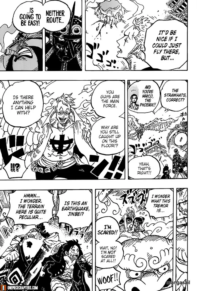 One Piece Chapter 997 - Page 14