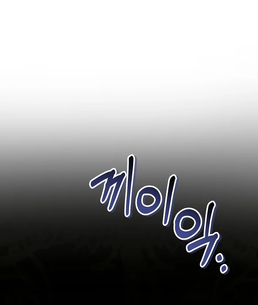 Regressor Instruction Manual Chapter 206 - Page 5