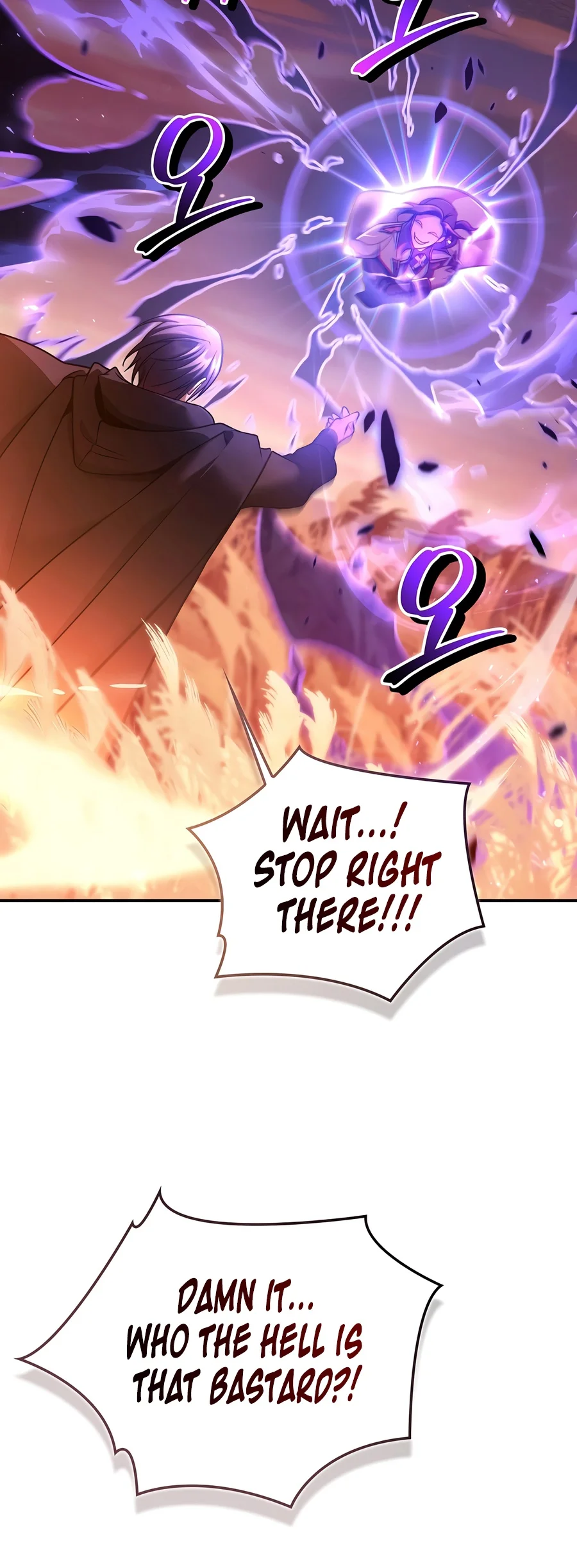 Regressor Instruction Manual Chapter 207 - Page 5