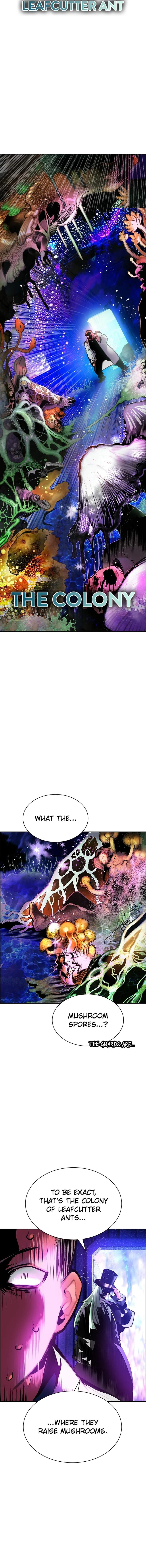Jungle Juice Chapter 203 - Page 3